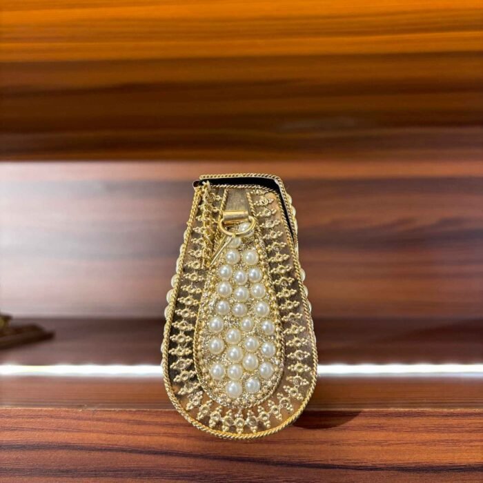 Moti Mahal Clutch - Image 4